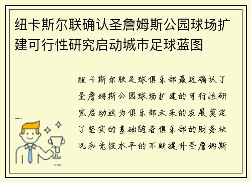 纽卡斯尔联确认圣詹姆斯公园球场扩建可行性研究启动城市足球蓝图 纽卡斯尔联确认圣詹姆斯公园球场扩建可行性研究启动城市足球蓝图